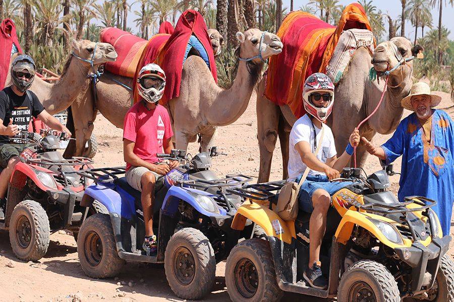 Paseo en camello y quads en Marrakech Palmeraie