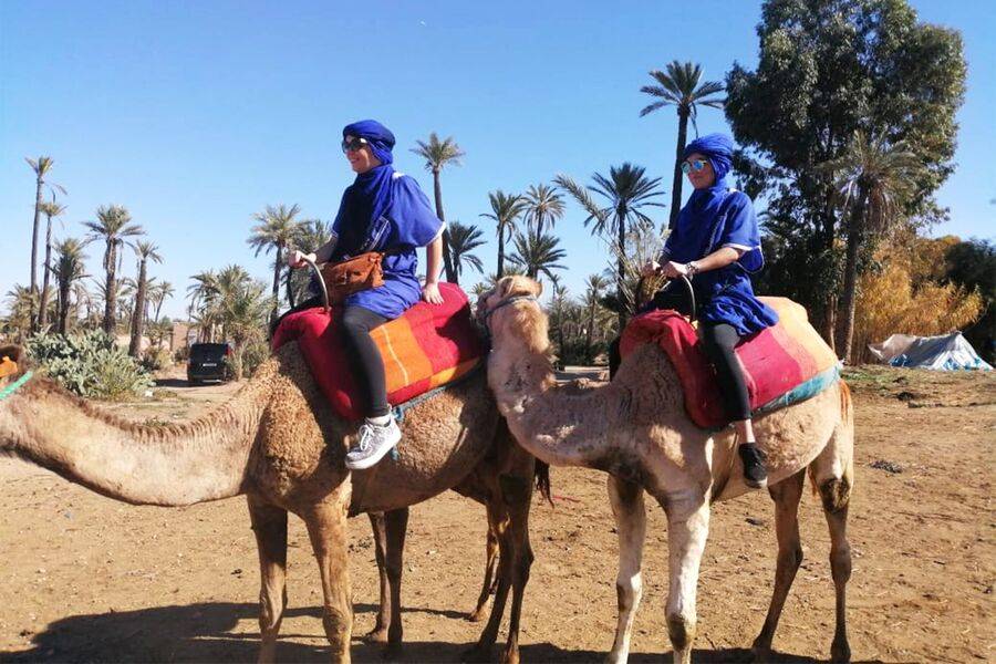 Paseo en camello y quad y spa y tratamiento de hammam