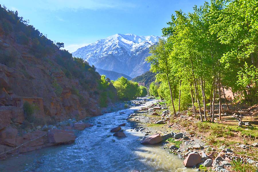 Excursión de un día al valle de Ourika y las montañas del Atlas