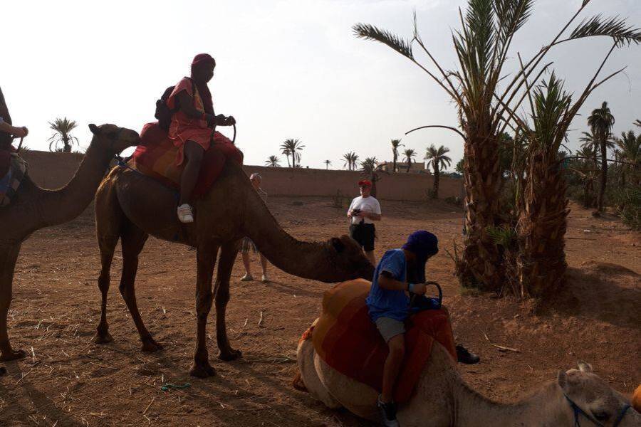 Paseo en camello y quad y spa y tratamiento de hammam