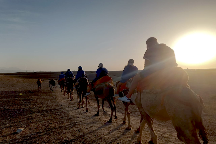 Montaña del Alto Atlas Imlil con paseo en camello y cena en el desierto de Agafay