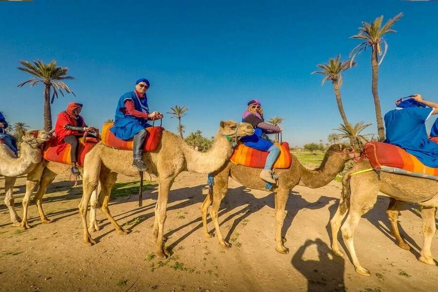 Paseo en camello y quad y spa y tratamiento de hammam