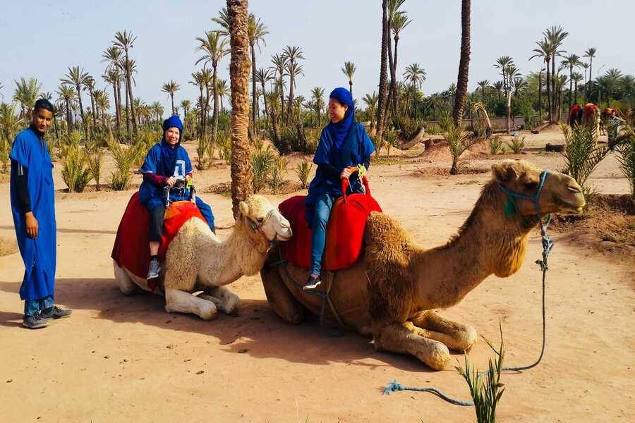 Paseo en camello y quad y spa y tratamiento de hammam