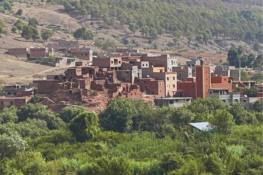 Excursión de un día al valle de Ourika y las montañas del Atlas