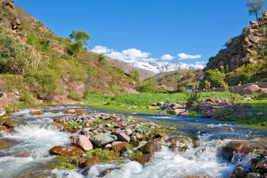 Excursión de un día al valle de Ourika y las montañas del Atlas